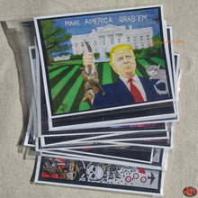 Load image into Gallery viewer, Political Print Pack